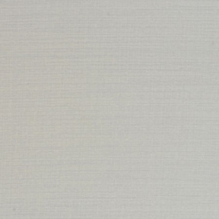Raw Silk Crepe Silver Exquisite Collection Free Fabric Samples