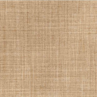 Rio Camel  Foothill Collection Free Fabric Samples