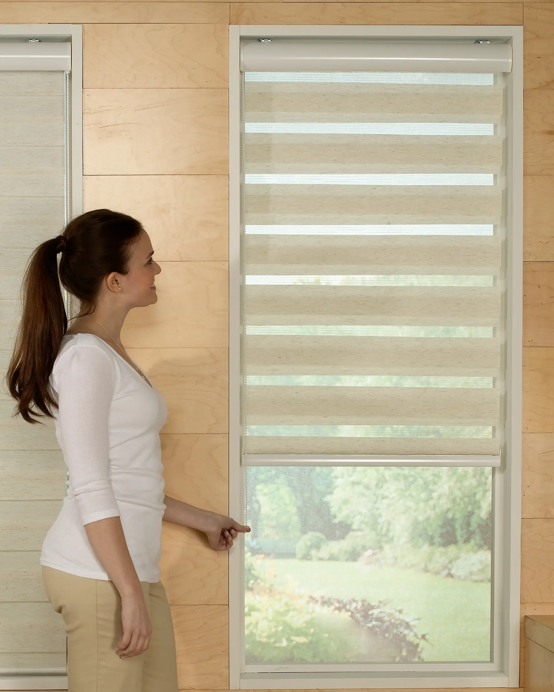 Elegance Cordless Zebra Light Filtering Roller Shades