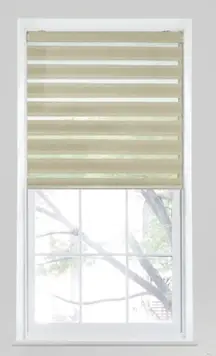 Elegance Motorized Zebra Light Filtering Roller Shades
