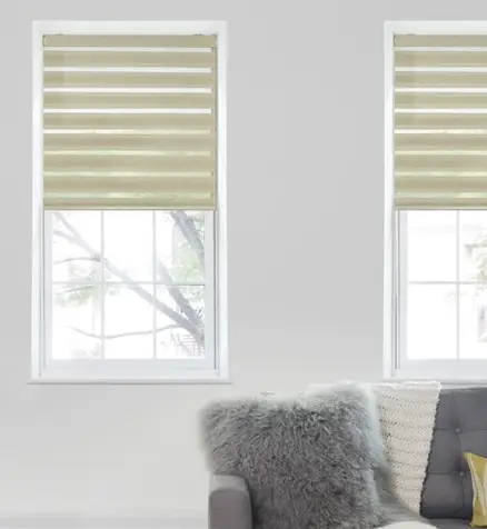 Elegance Motorized Zebra Light Filtering Roller Shades
